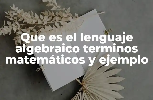 Que es el Lenguaje Algebraico Terminos Matemáticos y Ejemplo
