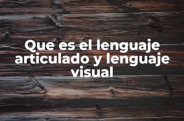 Que es el Lenguaje Articulado y Lenguaje Visual