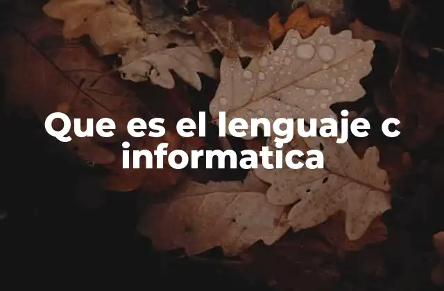 Que es el Lenguaje C Informatica