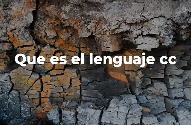 Que es el Lenguaje Cc