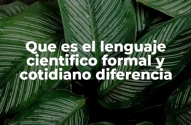 Que es el Lenguaje Cientifico Formal y Cotidiano Diferencia