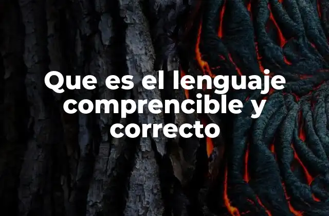 Que es el Lenguaje Comprencible y Correcto