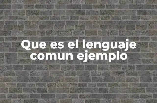 La importancia del lenguaje común en la vida social
