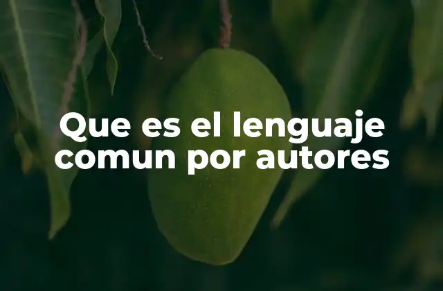 Que es el Lenguaje Comun por Autores