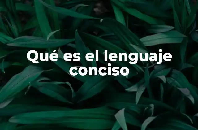 Qué es el Lenguaje Conciso