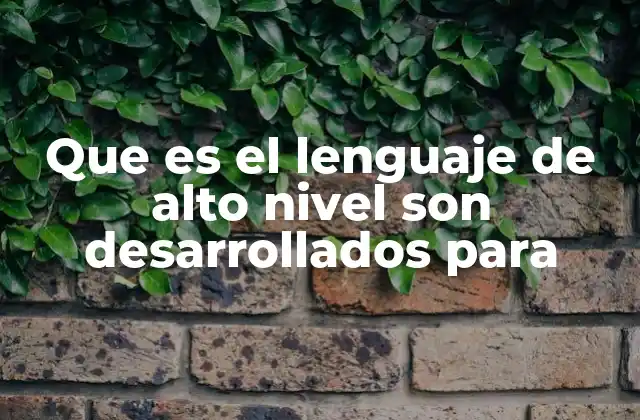 Que es el Lenguaje de Alto Nivel Son Desarrollados para