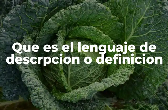 Que es el Lenguaje de Descrpcion o Definicion