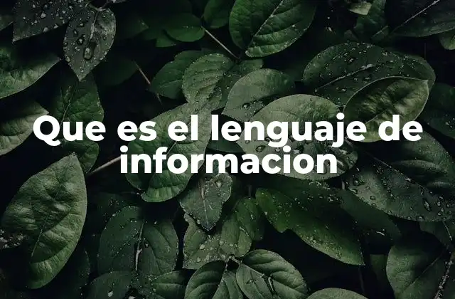 Que es el Lenguaje de Informacion