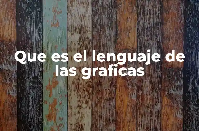 Que es el Lenguaje de las Graficas