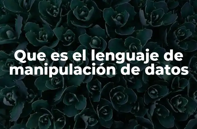 Que es el Lenguaje de Manipulación de Datos