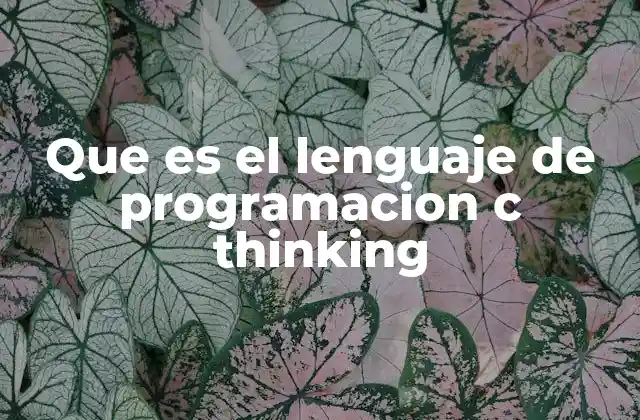 Que es el Lenguaje de Programacion C Thinking