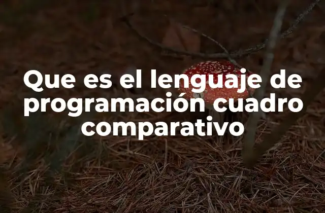 Que es el Lenguaje de Programación Cuadro Comparativo