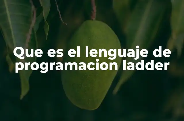 Que es el Lenguaje de Programacion Ladder