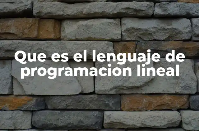 Que es el Lenguaje de Programacion Lineal 2 La base matemática detrás de la programación lineal
