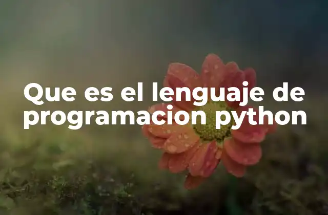 Que es el Lenguaje de Programacion Python
