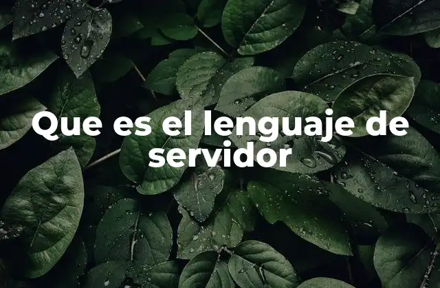 Que es el Lenguaje de Servidor