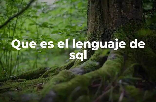 Que es el Lenguaje de Sql