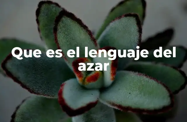 Que es el Lenguaje Del Azar