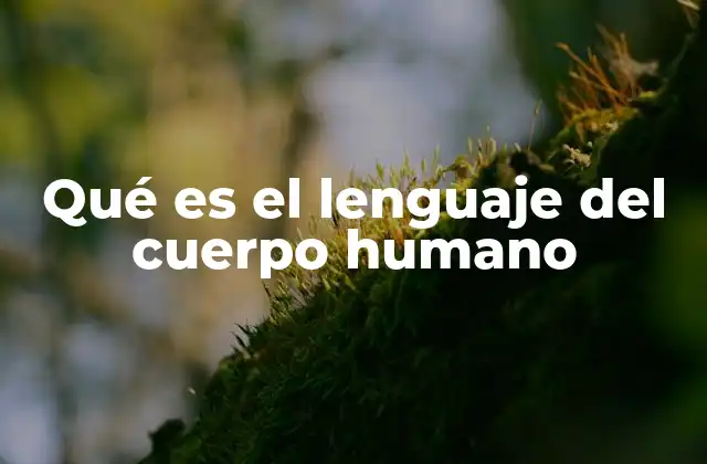 Qué es el Lenguaje Del Cuerpo Humano