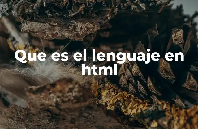Que es el Lenguaje en Html