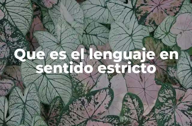 Que es el Lenguaje en Sentido Estricto