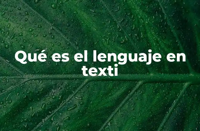 Qué es el Lenguaje en Texti