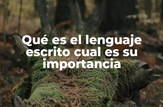 Qué es el Lenguaje Escrito Cual es Su Importancia