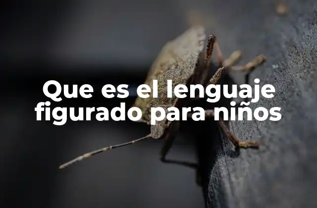 Que es el Lenguaje Figurado para Niños