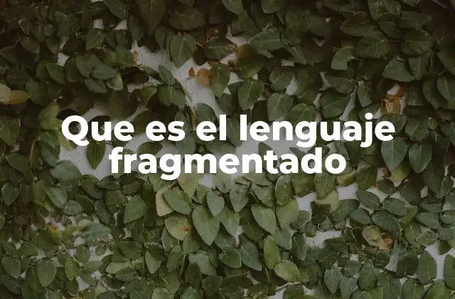 Que es el Lenguaje Fragmentado