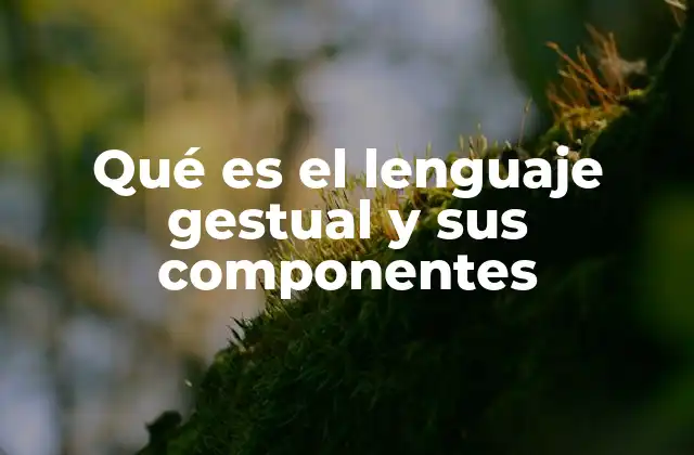 Qué es el Lenguaje Gestual y Sus Componentes