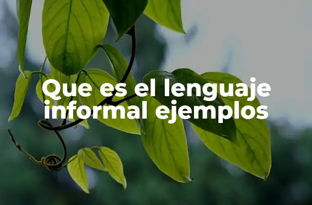Que es el Lenguaje Informal Ejemplos