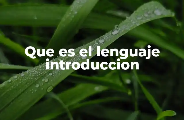 Que es el Lenguaje Introduccion
