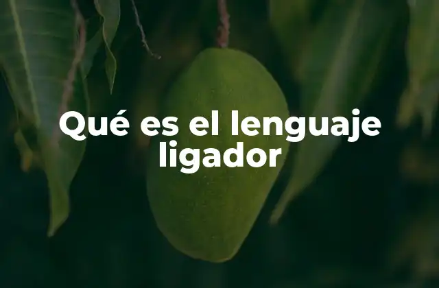 Qué es el Lenguaje Ligador