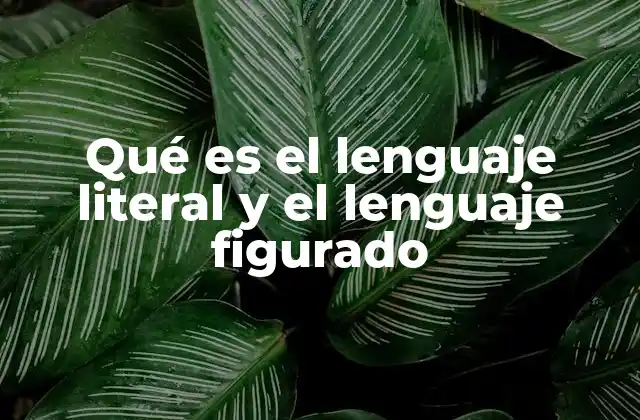 Qué es el Lenguaje Literal y el Lenguaje Figurado