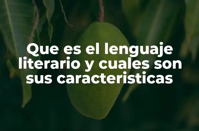 Que es el Lenguaje Literario y Cuales Son Sus Caracteristicas