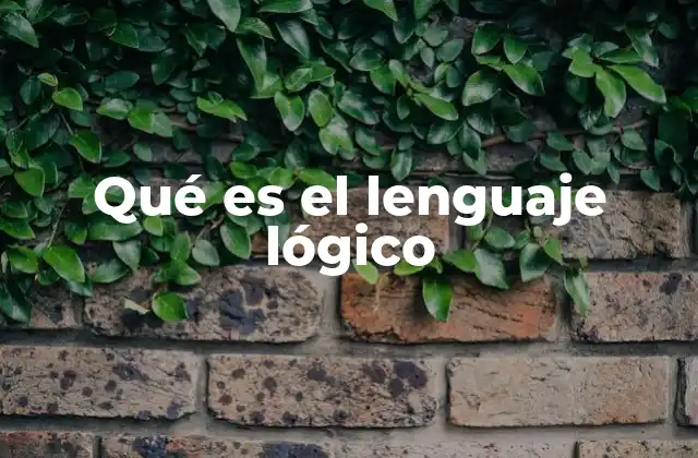 Qué es el Lenguaje Lógico