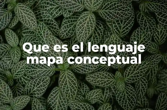 Que es el Lenguaje Mapa Conceptual
