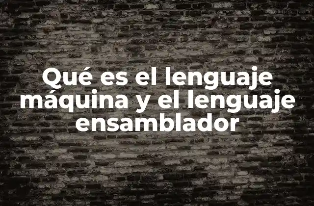 Qué es el Lenguaje Máquina y el Lenguaje Ensamblador