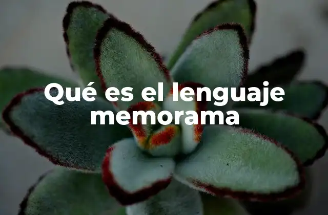 Qué es el Lenguaje Memorama