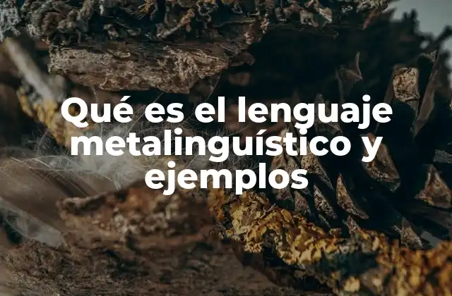 Qué es el Lenguaje Metalinguístico y Ejemplos