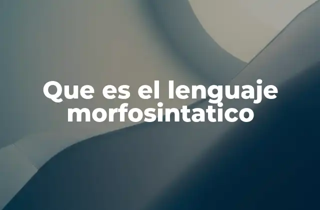 Que es el Lenguaje Morfosintatico