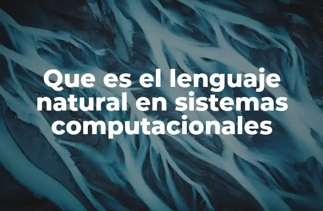 Que es el Lenguaje Natural en Sistemas Computacionales