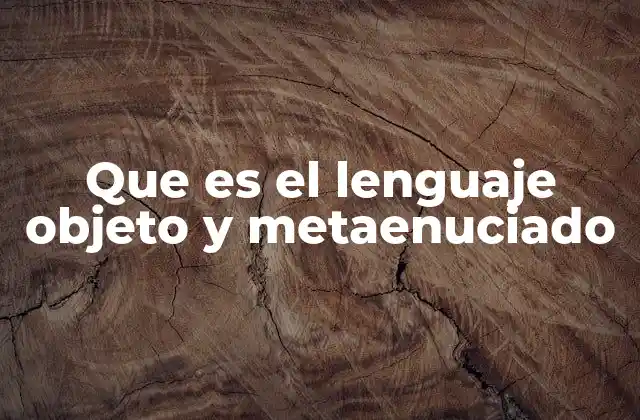 Que es el Lenguaje Objeto y Metaenuciado