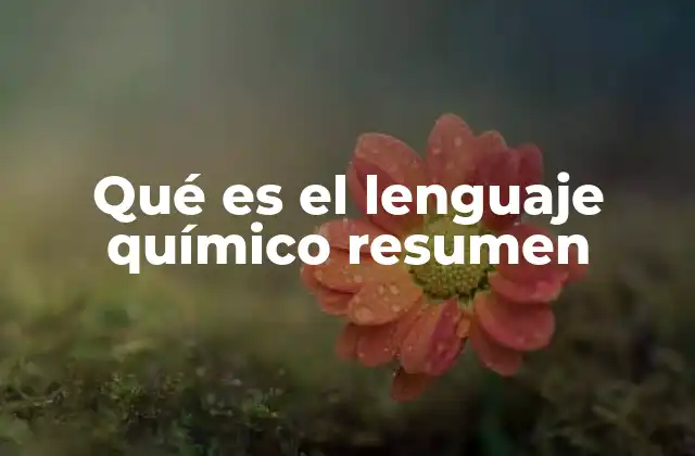 Qué es el Lenguaje Químico Resumen