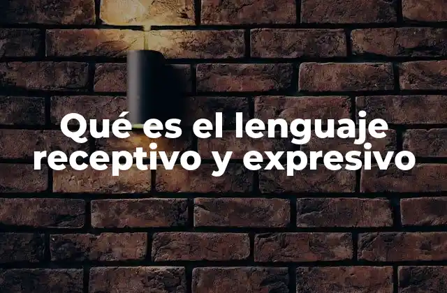 Qué es el Lenguaje Receptivo y Expresivo