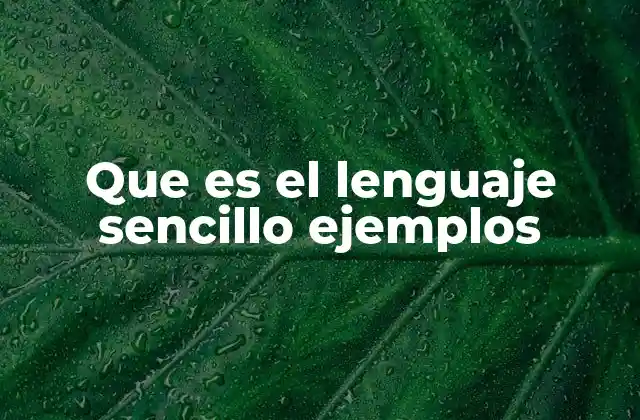 Que es el Lenguaje Sencillo Ejemplos