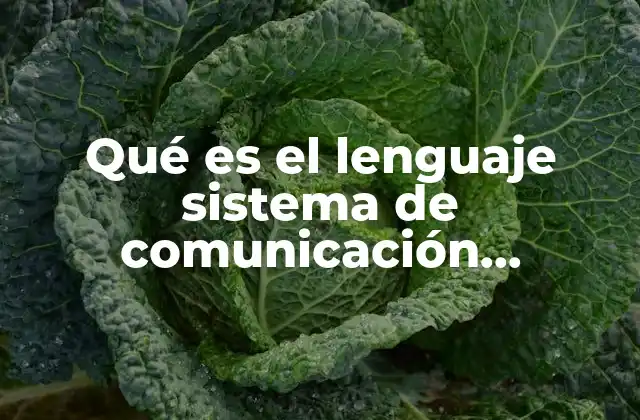 Qué es el Lenguaje Sistema de Comunicación Importante 2 La importancia del sistema de comunicación en la sociedad humana