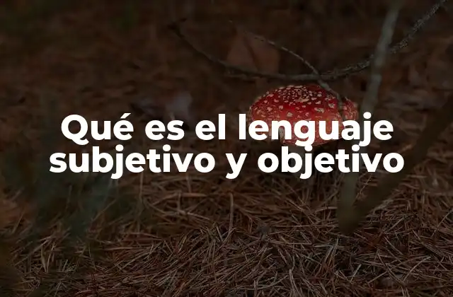 Qué es el Lenguaje Subjetivo y Objetivo