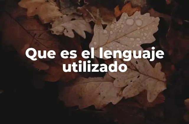 Que es el Lenguaje Utilizado 2 La importancia del lenguaje en la vida cotidiana