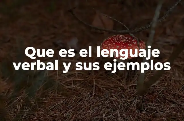 Que es el Lenguaje Verbal y Sus Ejemplos